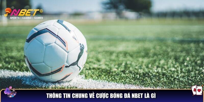 Bóng đá NBET – Sân chơi cá cược hấp dẫn cho mọi tín đồ túc cầu 2 Thông tin chung về cược bóng đá NBET