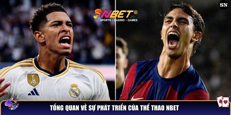 Thể thao Nbet là làn gió mới trên thị trường cá cược