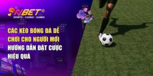 Các kèo bóng đá dễ chơi cho người mới – Hướng dẫn đặt cược hiệu quả