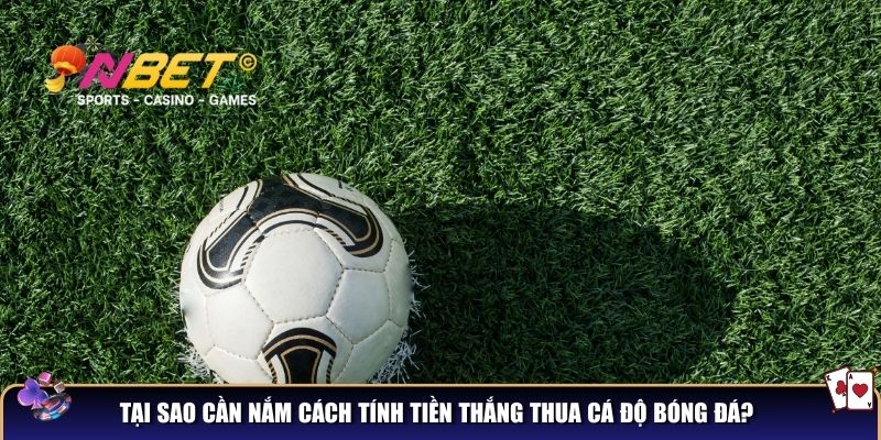 Tại sao cần nắm cách tính tiền thắng thua cá độ bóng đá?