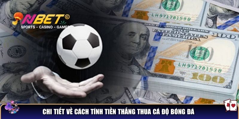 Chi tiết về cách tính tiền thắng thua cá độ bóng đá