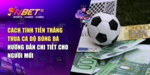 Cách tính tiền thắng thua cá độ bóng đá – Hướng dẫn chi tiết cho người mới