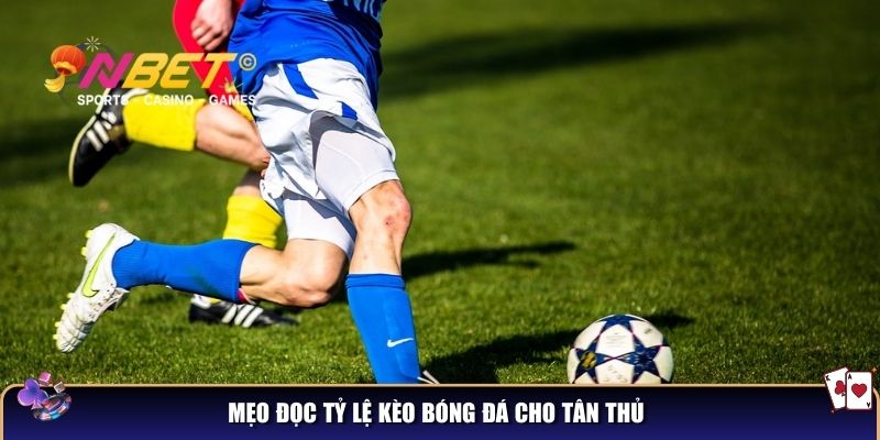 Mẹo đọc tỷ lệ kèo bóng đá cho tân thủ