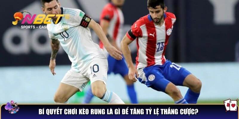 Kèo rung là gì? Cách hiểu và bắt kèo rung chuẩn như dân chuyên 4 Bí quyết chơi kèo rung là gì để tăng tỷ lệ thắng cược?